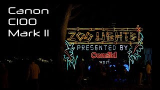 ZooLights at Lincoln Park Zoo All Night by Parov Stelar  Canon C100 Mark II Footage video canon [upl. by Scarlet]