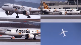 240224 旭川空港 国際線 Tigerair A320200N B50026 Arrival amp Departure at Asahikawa Airport RJEC [upl. by Buckingham]