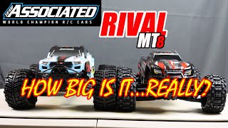 Team Associated Rival MT8 Size Comparison with Maxx Kaiju and Sketer [upl. by Roee899]