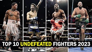 TOP 10 Undefeated Fighters 2023 [upl. by Hama539]