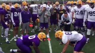 Big Cat Drill gets testy at LSU [upl. by Eirelam46]