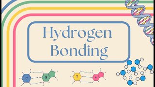 What is Hydrogen Bonding  SIMPLE Explanation [upl. by Rudolph]