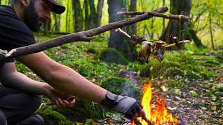 Bushcraft Wooden Skewer Stand Cooking Fish over an Open Fire [upl. by Normy]