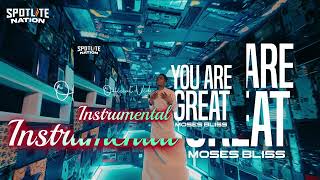 YOU ARE GREAT INSTRUMENTAL [upl. by Romie]