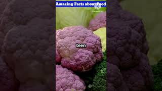 Amazing facts about food facts humanfood shortsfeed humanefacts food shortshortvideo [upl. by Danaher898]