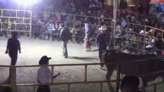 jaripeo en tecomaxtlahuaca oaxaca [upl. by Asyral7]