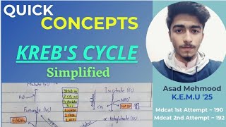 Krebs Cycle Simplified  Quick Concepts  MDCAT  Dr Asad [upl. by Etnoj]