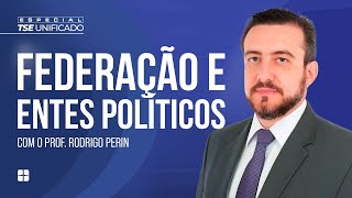 Organização do Estado Federação e Entes Políticos  Prof Rodrigo Perin [upl. by Wilber]