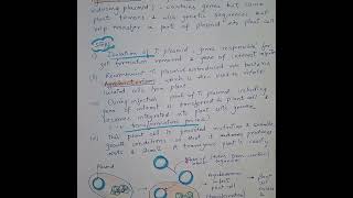 Create transgenic plants with Agrobacterium tumefaciens biotechnology [upl. by Tadich]