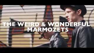 The Weird and Wonderful Marmozets [upl. by Sternlight272]