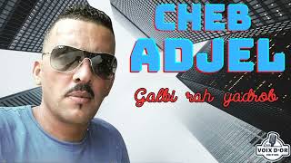 Cheb Adjel  Galbi rah yadrob [upl. by Groos97]