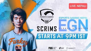 Pubg competitive player scrims EGN 9PM Daily Scrims  Pubg Mobile Scrims castingpubgmobile live [upl. by Nunes721]