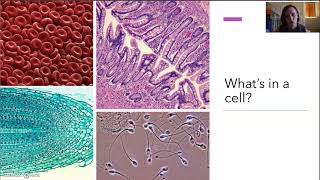 Introduction to cells  Part 1 [upl. by Carroll522]