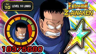 100 EZA STR HACCHAN LEVEL 10 LINKS  STICKER EFFECT Dragon Ball Z Dokkan Battle [upl. by Portingale144]