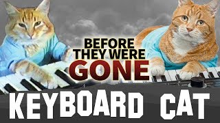 KEYBOARD CAT  Before They Were GONE  RIP [upl. by Novaat137]