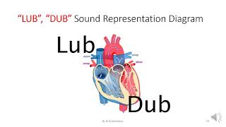 STUDY OF PHONOCARDIOGRAM [upl. by Barnard460]