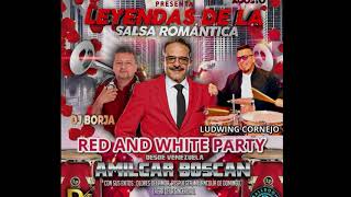 RESPUESTA Amilcar Boscan Ludwing Cornejo en su Salsa MIAMI [upl. by Daggett]