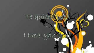 Stromae  Te Quiero  Lyrics on screen French  English [upl. by Eiramyelhsa]