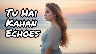 AUR  Tu hai kahan lyrics Slow and Reverb [upl. by Stets979]