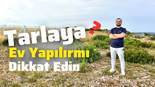 Tarlaya Ev Yapılırmı  Tarla İmarı Nedir Nasıl Tarla Almalıyım 2023 E153 [upl. by Draillih]