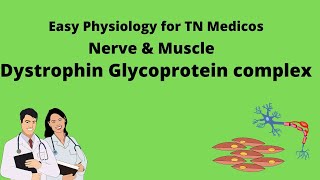 Dystrophin Glycoprotein complex [upl. by Reifel]