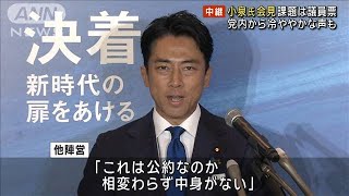 小泉進次郎氏会見に各陣営は？ 課題は議員票 党内から冷ややかな声も2024年9月6日 [upl. by Anerehs]