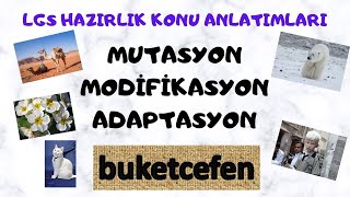 MutasyonModifikasyonAdaptasyon Konu Anlatımı  LGS 2021  Fen Bilimleri  5ders [upl. by Rosenkrantz]