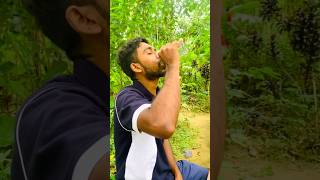 රස්නෙ කාලෙට ගැලපෙනම පානය 😍Aloe vera juice [upl. by Scully214]