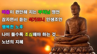 명상의말씀🙏🏽 마음이 편안해 지는 부처님 명언 🙏🏽 잠자면서 듣는 석가모니 인생조언 🙏🏽 행복한 노후 🙏🏽 나이 들수록 조심해야 하는 것 🙏🏽 노년의 지혜 [upl. by Miriam462]