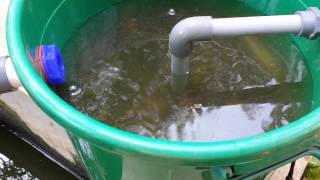 How to build Pond water Filter  DIY [upl. by Asaret]