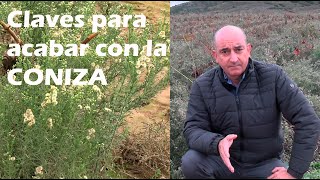 Claves para acabar con la CONIZA [upl. by Lucas]