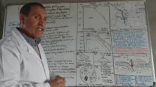 LES CHAINES DE SUBDUCTIONles caracteristiques structurales et geophysiques [upl. by Georgette]