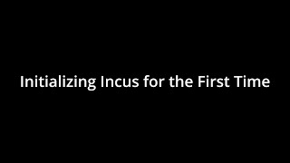 Initializing Incus and Launching your first ContainerVM [upl. by Meyer]