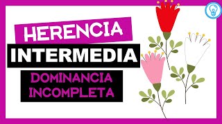 DOMINANCIA INCOMPLETA 🧐🌺 [upl. by Ylicec855]