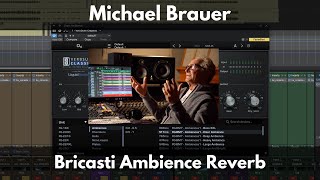 Michael Brauer Bricasti Ambience Reverb [upl. by Eeneg]