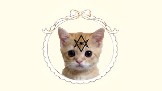 The Occult Secret of Cute Memes [upl. by Adnahsed]