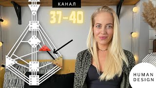 Дизайн Человека КАНАЛ 4037 ознакомительный фрагмент [upl. by Lalise]