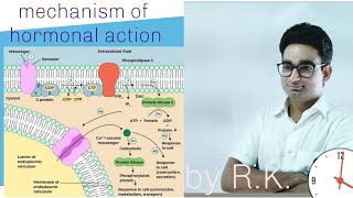 Mechanism of hormonal action  NCERT Based for NEET students [upl. by Menard]