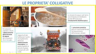 LE PROPRIETA COLLIGATIVE DI UNA SOLUZIONE [upl. by Pavlov]