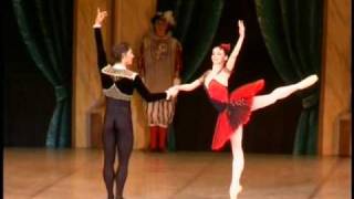 N Osipova amp I Vasiliev  Don Quixote Pas de Deux  2008 [upl. by Aivul46]