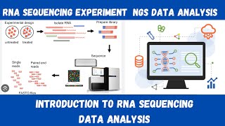 Introduction to RNA Sequencing Data Analysis [upl. by Imac]