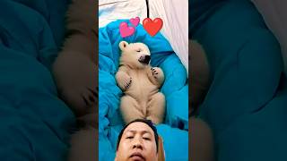 Rescued baby polar bear joins the camppp 🐻‍❄️✨polarbearrescue arcticadventure wildliferescue [upl. by Gundry470]