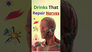 Drinks That Repair Nerves [upl. by Wini]