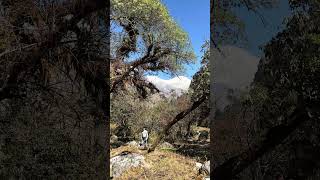 langtang Trek wondertravelers langtang langtangvalley [upl. by Stralka892]