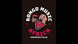 latest Owerri Bongo Mix 2023High Life [upl. by Dlnaod]