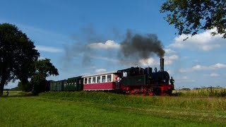 Die erste Museumsbahn und ihre Fahrzeuge  Besuch beim DEV in BruchhausenVilsen [upl. by Hayouqes]