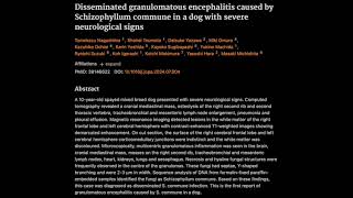 36 Disseminated granulomatous encephalitis caused by Schizophyllum commune [upl. by Dnomsed382]