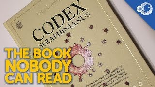 The Book Nobody Can Read Codex Seraphinianus [upl. by Andrus620]