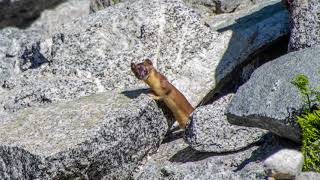 Backpacking the Eagle Cap Wilderness in Oregon  Mirror Lake amp Eagle Cap [upl. by Gisser]