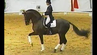 Donnerhall  Legendary oldenburg stallion Damon Hill Digby Donnperignon [upl. by Anaud]